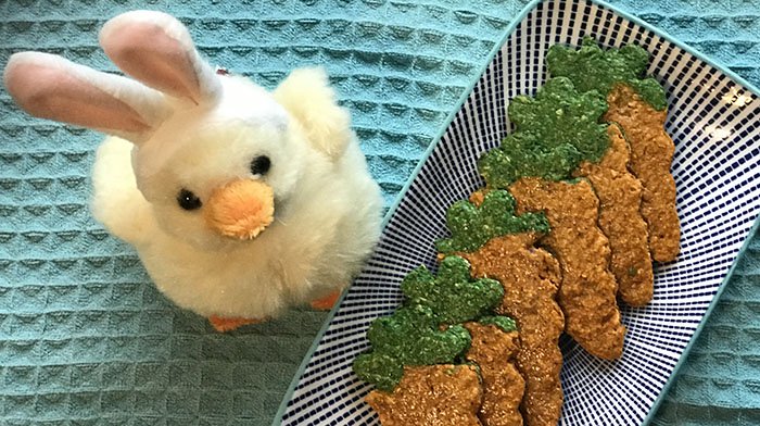 Easter bunny carrot dog treats