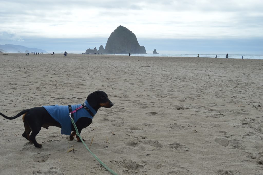 Cannon Beach
