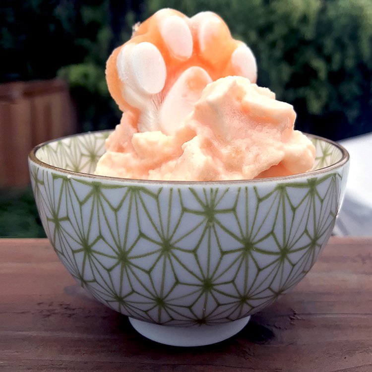 2 ingredient ice cream recipe for dogs