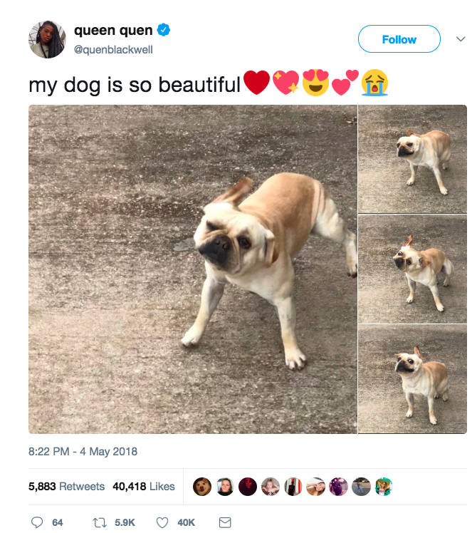 Quen Blackwell twitter Stitch