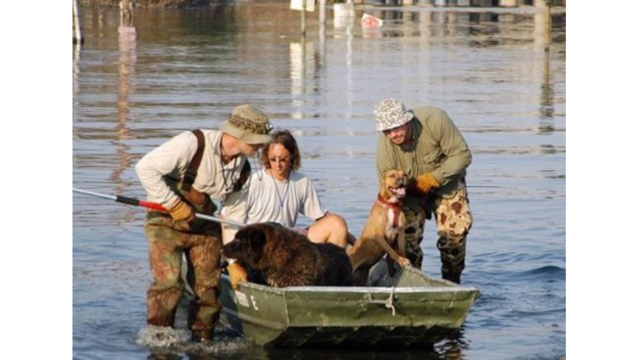Hurricane Ready: Pet Preparations