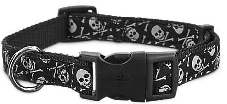 skull and crossbone collar
