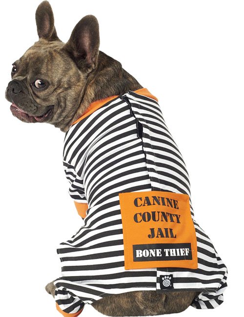 jailhouse dog pajamas halloween for dogs