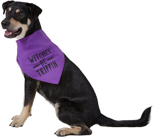 witches be trippin dog bandana halloween