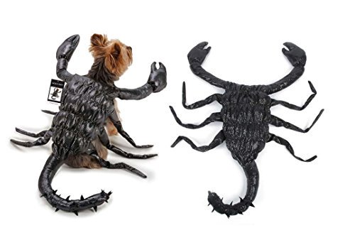 Scorpion scary dog costume