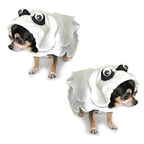 Ghost scary dog costume