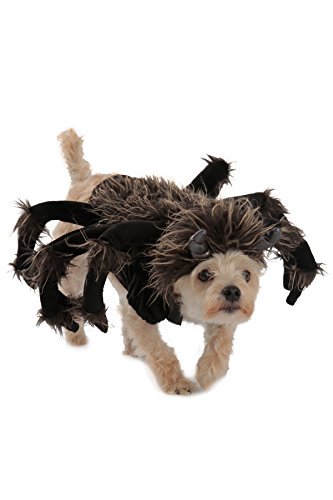 Spider scary dog costume