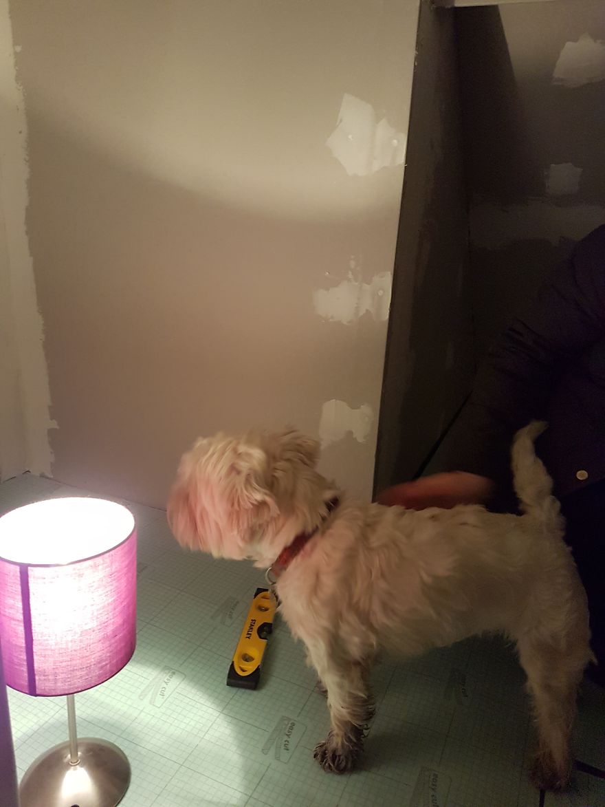 drywall and spackle inspector