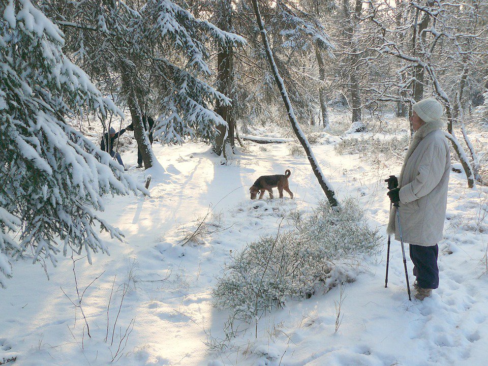 Woman enjoying snow with her dog
