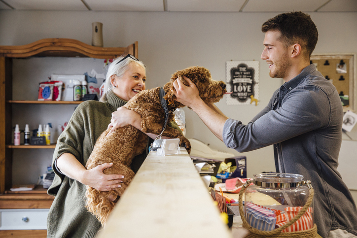 A dog arrives at a pet boarding facility.