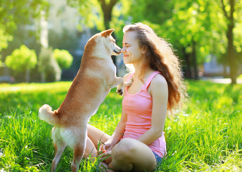 dogs mimic human facial expressions