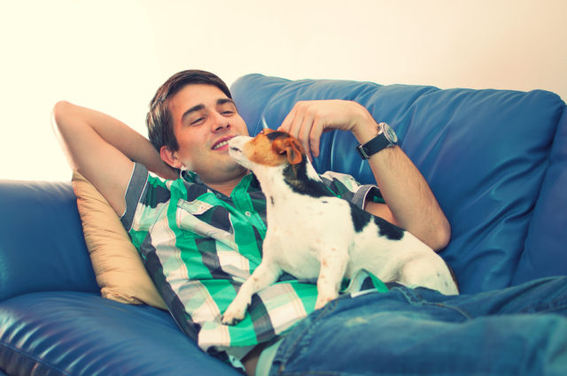 dog parents understand empathy