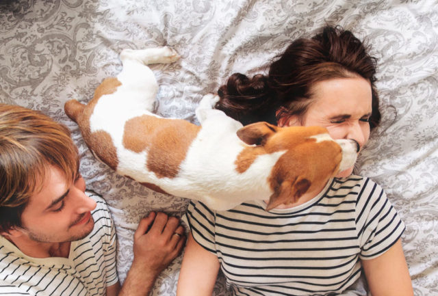 your dog is really a human