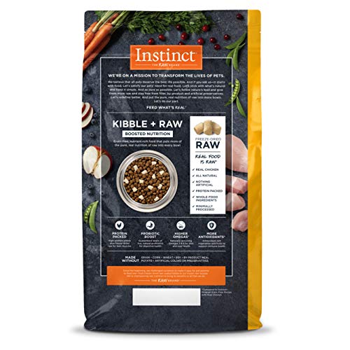 Chewy Nature's Variety Instinct raw and freeze-dried dog food