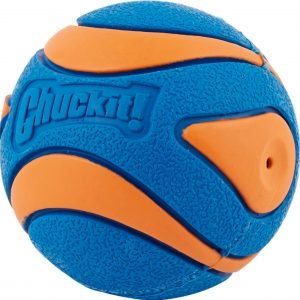 Chuckit squeaker ball dog pool toy