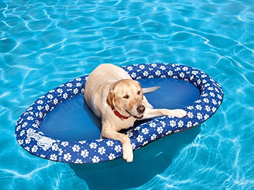 Amazon SwimWays pool float pool toy for dogs