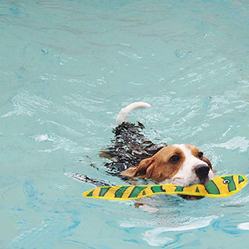 dog swimming with a Scenereal floating snake dog pool toy