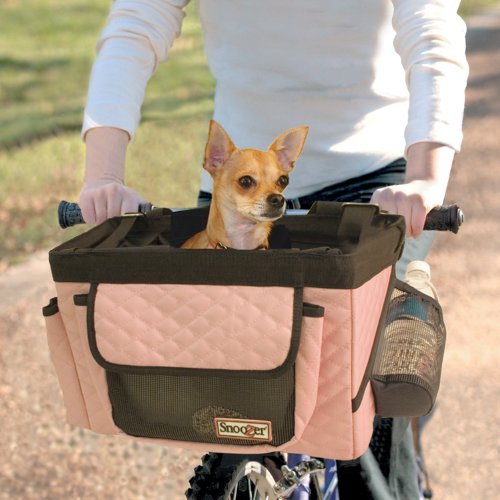 Chihuahua riding on front of bike in pink Snoozer basket