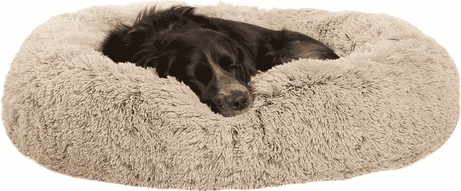 dog sleeping in Best Friends by Sheri donut dog bed