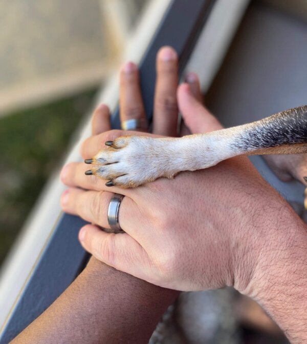 Dog Paw Wedding Photo