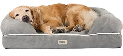 dog sacked out in Friends Forever memory foam bed