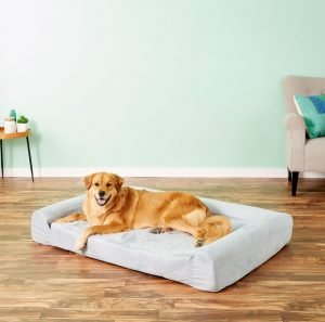 dog lounging on Kopeks sofa-style memory foam bed