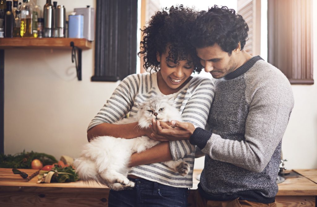 stylish couple holding a white fluffy cat