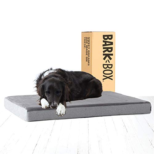 dog on Bark Box platform bed