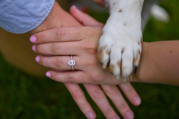 Dog Holding Paw With Couple
