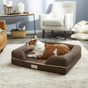 PetFusion ultimate memory foam dog bed