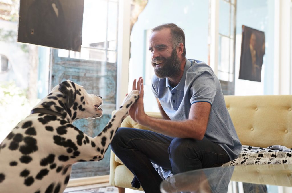 man high fiving a dalmatian