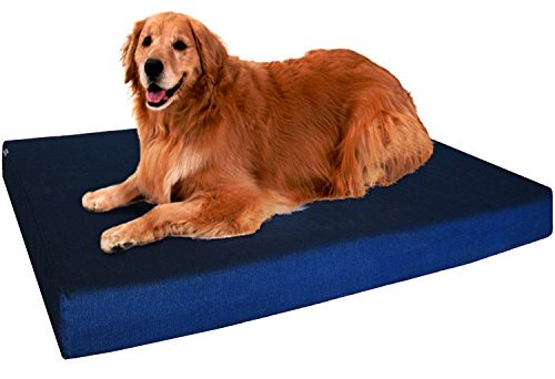dog sitting on blue Dogbed4less orthopedic memory foam dog bed