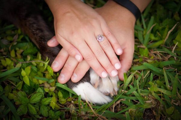 Beautiful Dog Wedding Photo