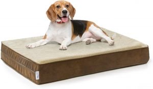 Beagle lying on eLuxury stain-repellent memory foam dog bed