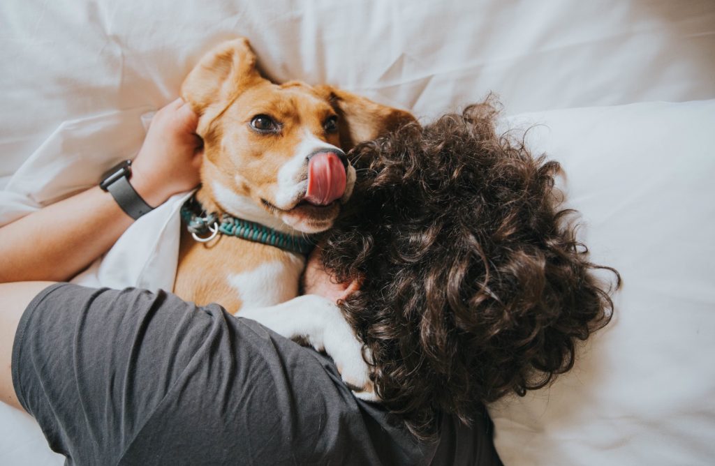 man and beagle snuggling