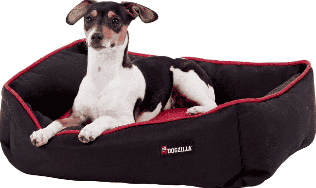 Chewy Dogzilla rectangle cheap dog bed