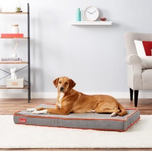 dog on Brindle waterproof memory foam bed