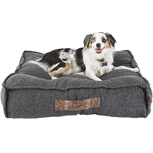 Harmony lounger bed with Aussie lying on top