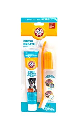 Arm & Hammer Advanced Care toothpaste and brushes