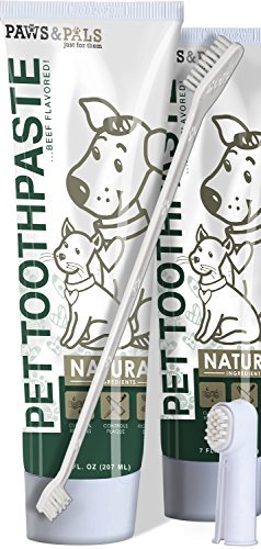 Paws & Pals dog toothbrushes and toothpaste