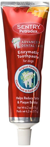 Sentry Petrodex Enzymatic dog toothpaste
