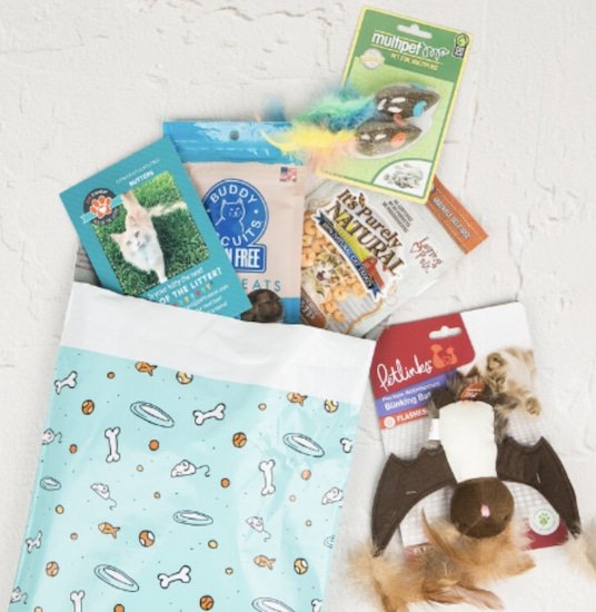 Pettreater cat subscription box