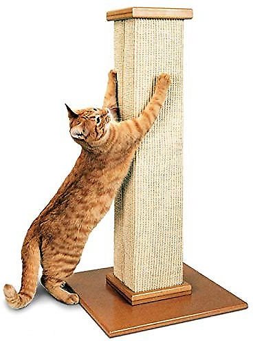 SmartCat scratching post