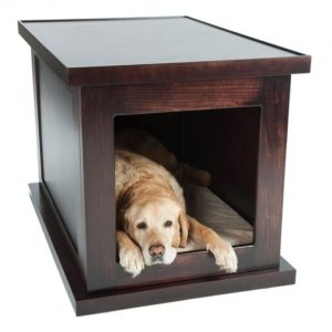 Zen Crate high-tech pet product
