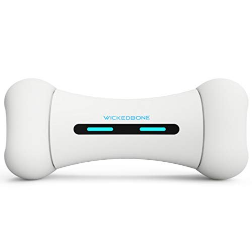 Wickedbone Smart Bone high-tech pet product