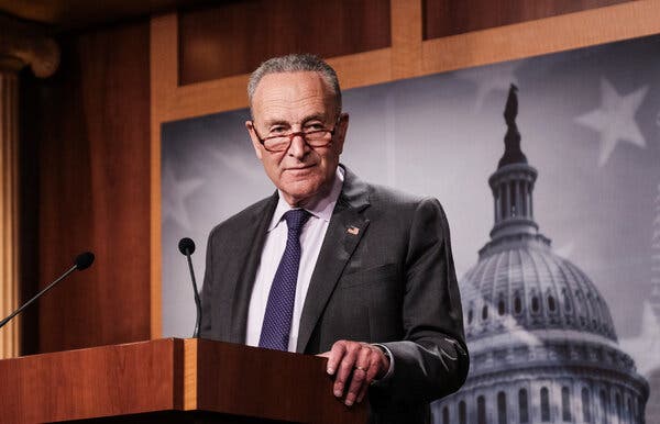 Senator Chuck Schumer of New York said during a call with Senate Democrats that “everything Americans value is at stake.”