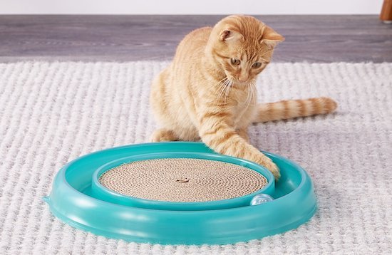 turbo scratcher toy