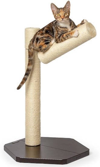 scratching post with branch