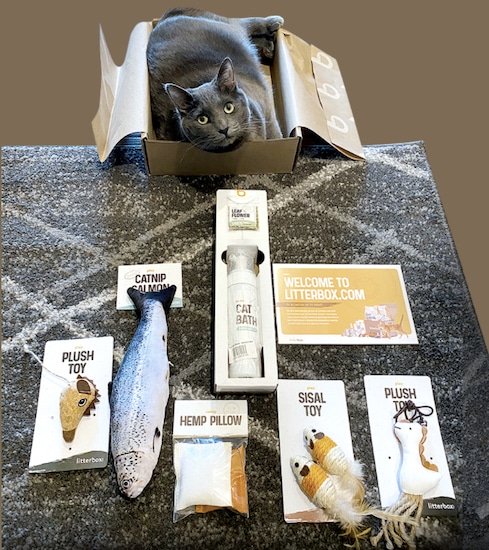 Litterbox subscription box items