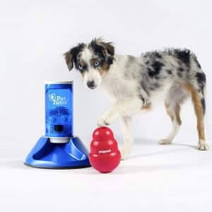 dog with PupPod high-tech pet product